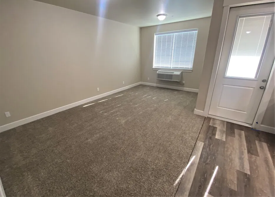 1 Bedroom Premium Living Room